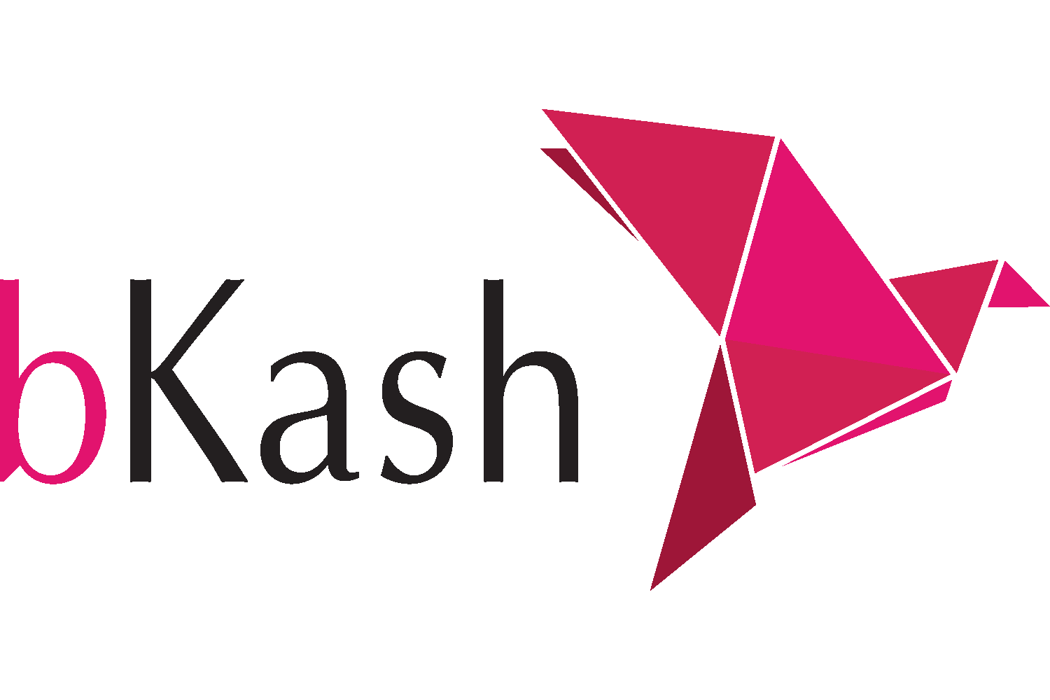 Bkash_logo_PNG_(1)